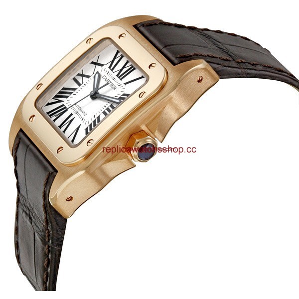 Cartier Santos de Cartier W20108Y1 img1