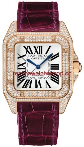Cartier Santos de Cartier WM502151 Cartier Santos de Cartier WM502151