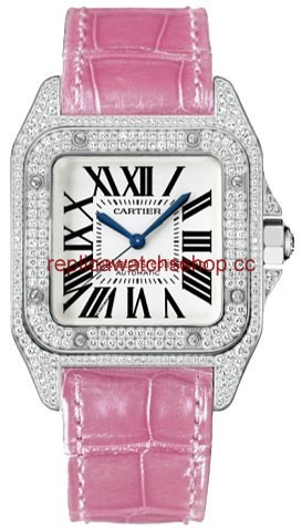 Cartier Santos de Cartier WM501751 Cartier Santos de Cartier WM501751