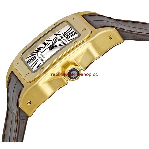 Cartier Santos de Cartier W20112Y1 img1