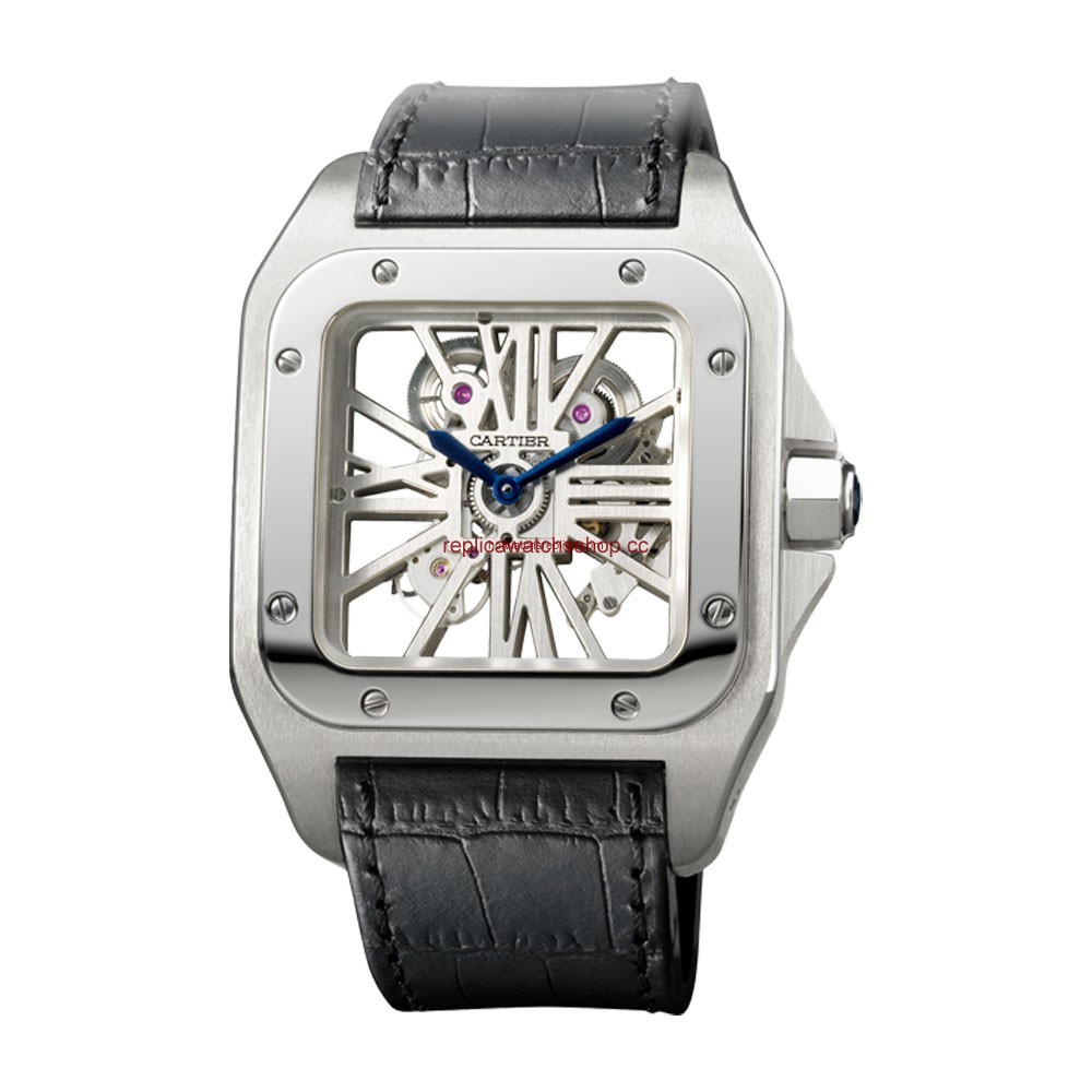 Cartier Santos de Cartier W2020018