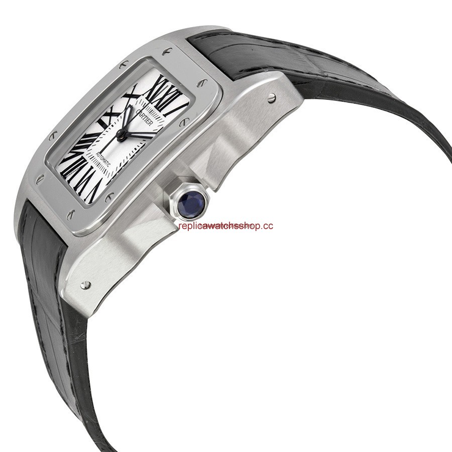 Cartier Santos de Cartier W20106X8 img1
