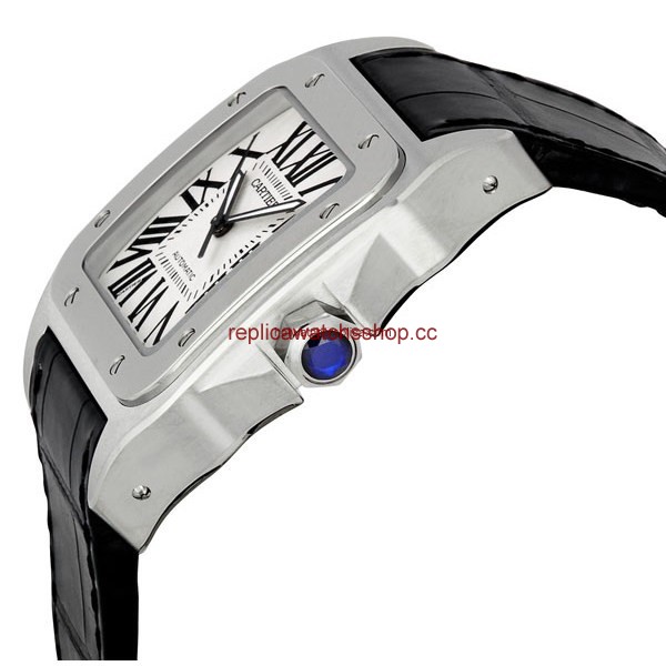 Cartier Santos de Cartier W20073X8 img1