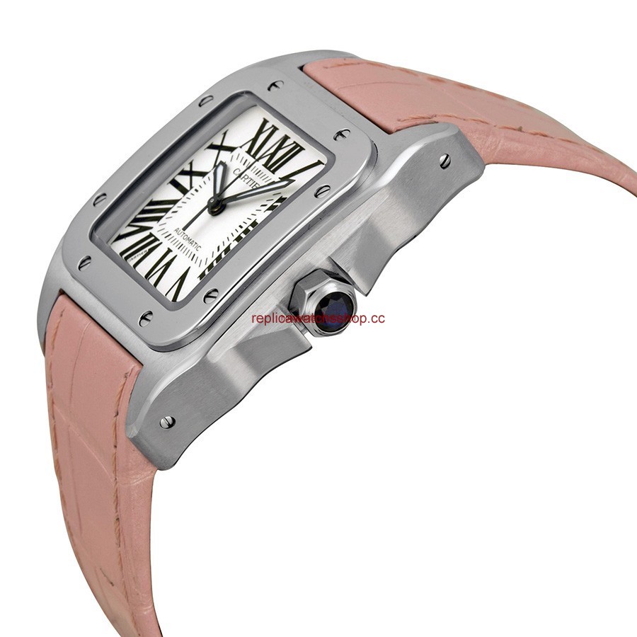 Cartier Santos de Cartier W20126X8 img1