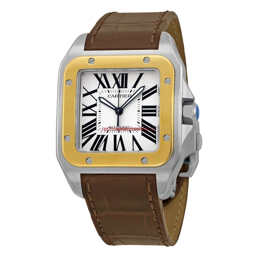 Cartier Santos de Cartier W20072X7