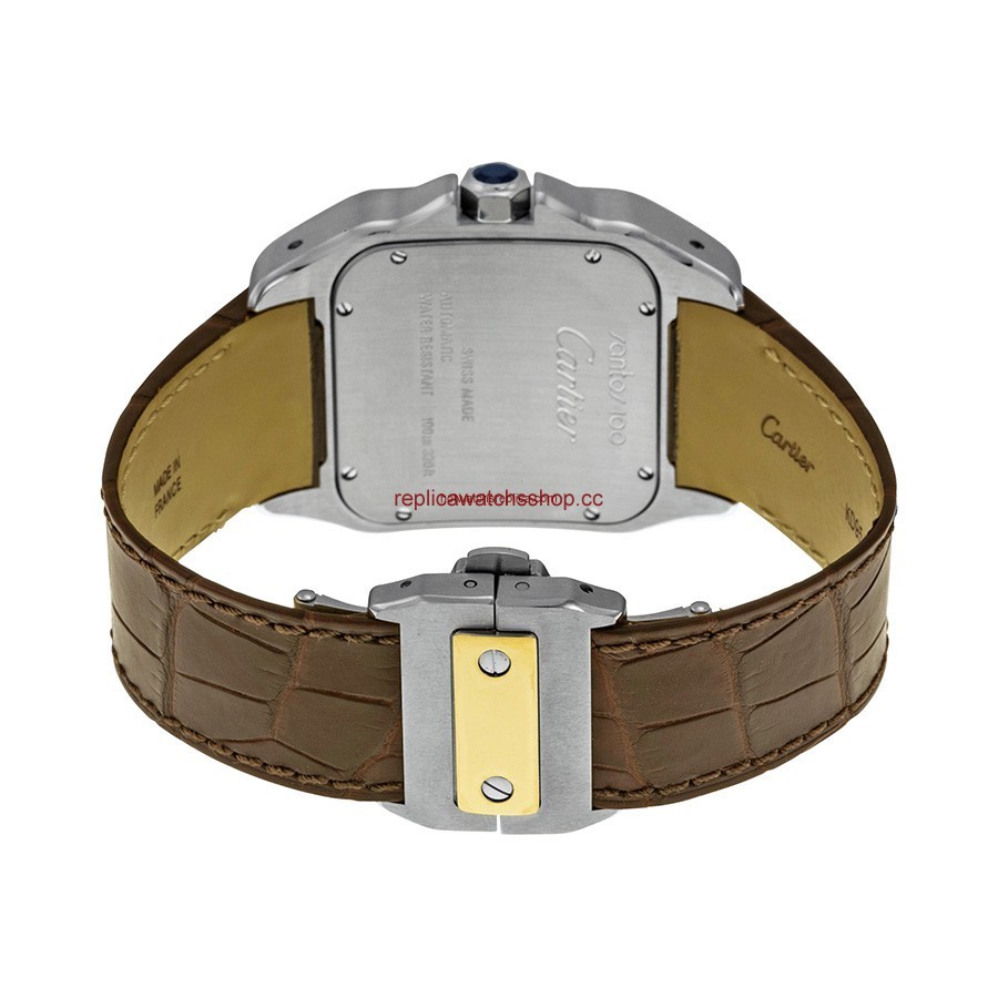 Cartier Santos de Cartier W20072X7 img2