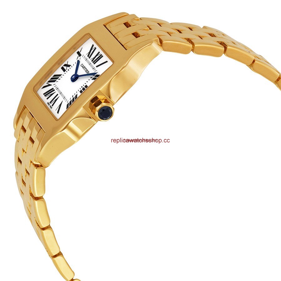 Cartier Santos de Cartier W25062X9 img1