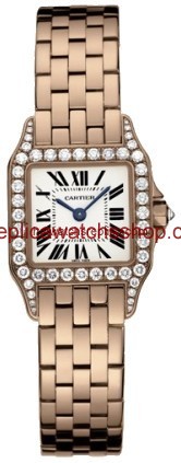 Cartier Santos de Cartier WF9008Z8