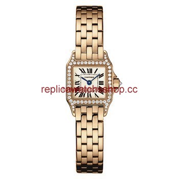 Cartier Santos de Cartier WF9011Z8 Cartier Santos de Cartier WF9011Z8