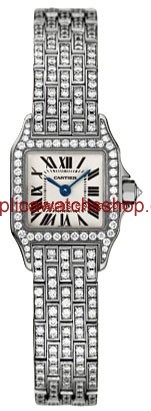 Cartier Santos de Cartier WF9005YA
