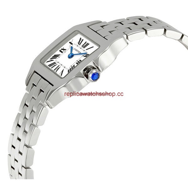 Cartier Santos de Cartier W25064Z5 img1