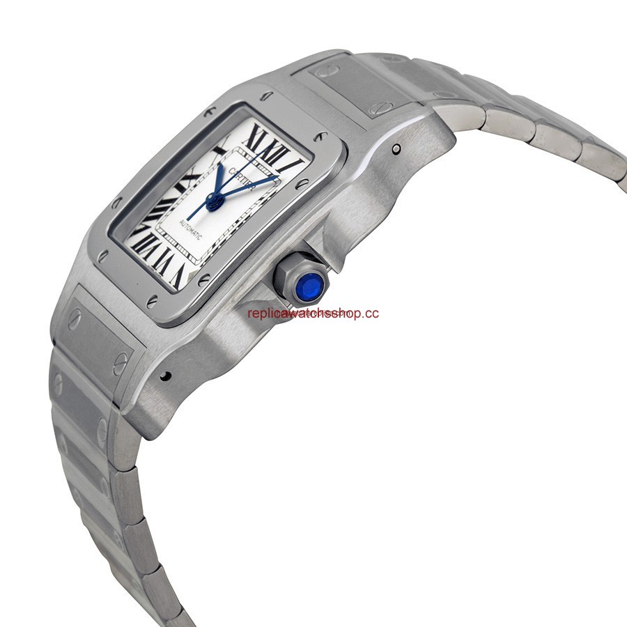 Cartier Santos de Cartier W20098D6 img1