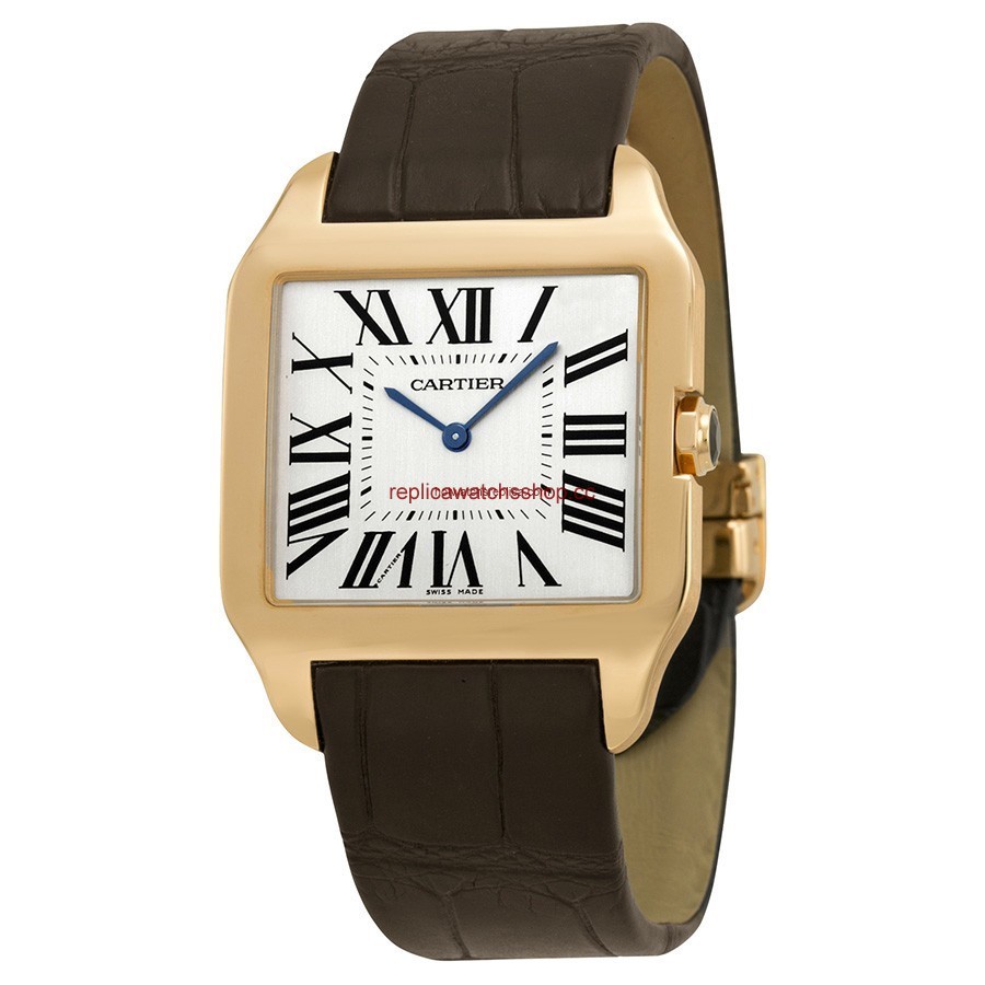 Cartier Santos de Cartier W2006951