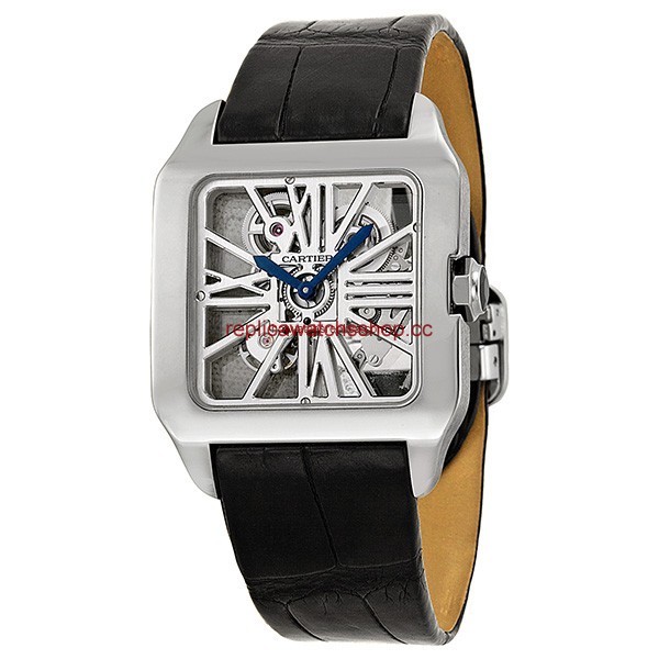 Cartier Santos-Dumont W2020033 Cartier Santos-Dumont W2020033