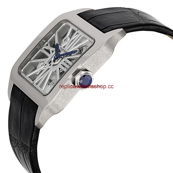 Cartier Santos-Dumont W2020033 img1