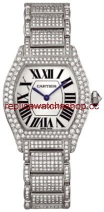 Cartier Tortue WA5049MC Cartier Tortue WA5049MC
