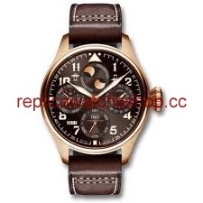 IWC Pilot's Watches IW502617