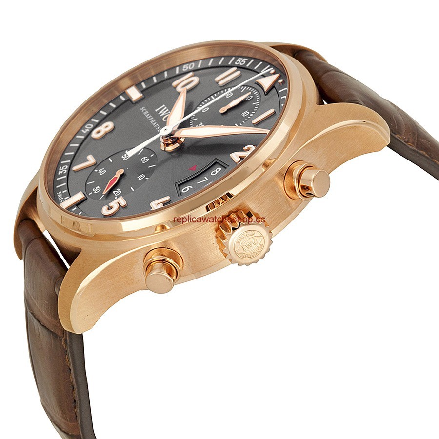 IWC Pilot's Watches IW387803 img1