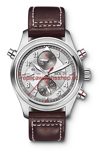 IWC Pilot's Watches IW371802