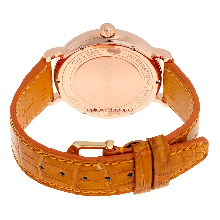 IWC Portofino IW458105 img2 IWC Portofino IW458105 img2