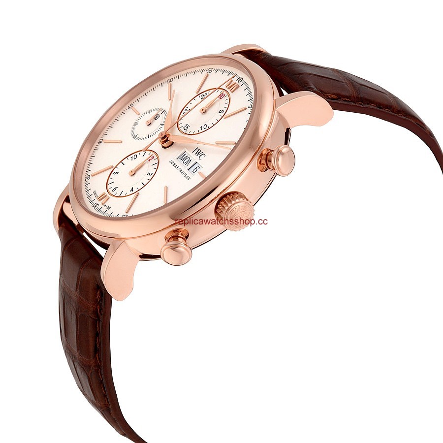 IWC Portofino IW391020 img1