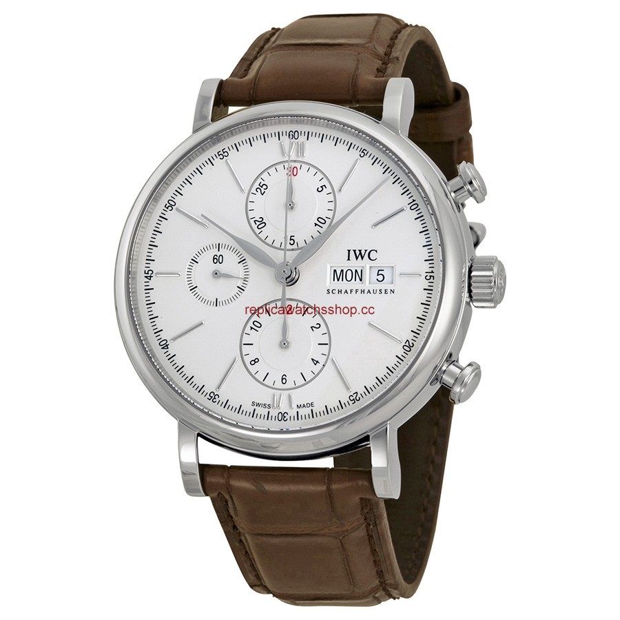 IWC Portofino IW391007 IWC Portofino IW391007