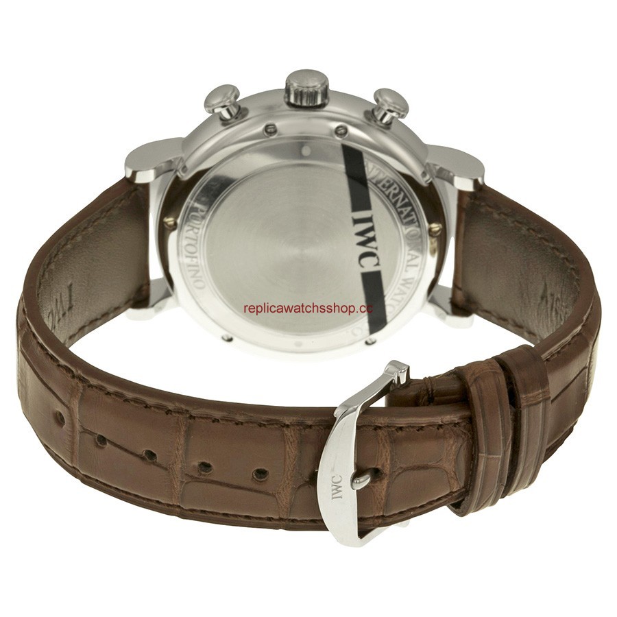 IWC Portofino IW391007 img2 IWC Portofino IW391007 img2
