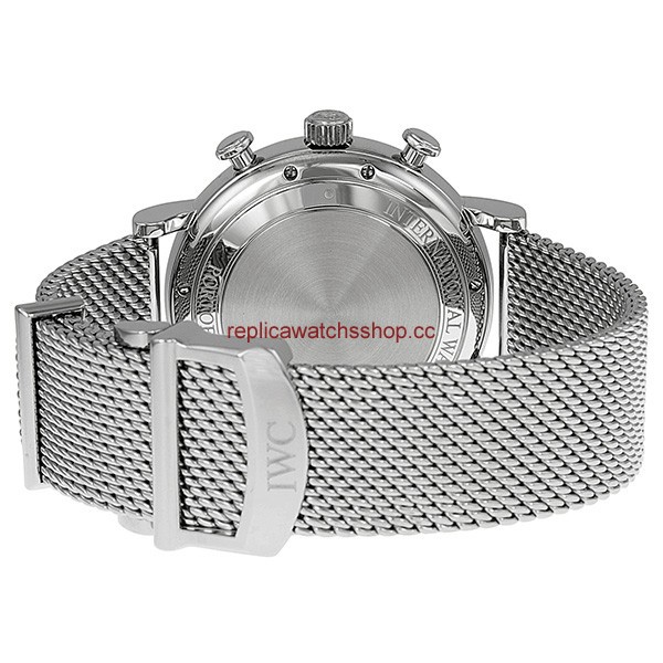 IWC Portofino IW391009 img2