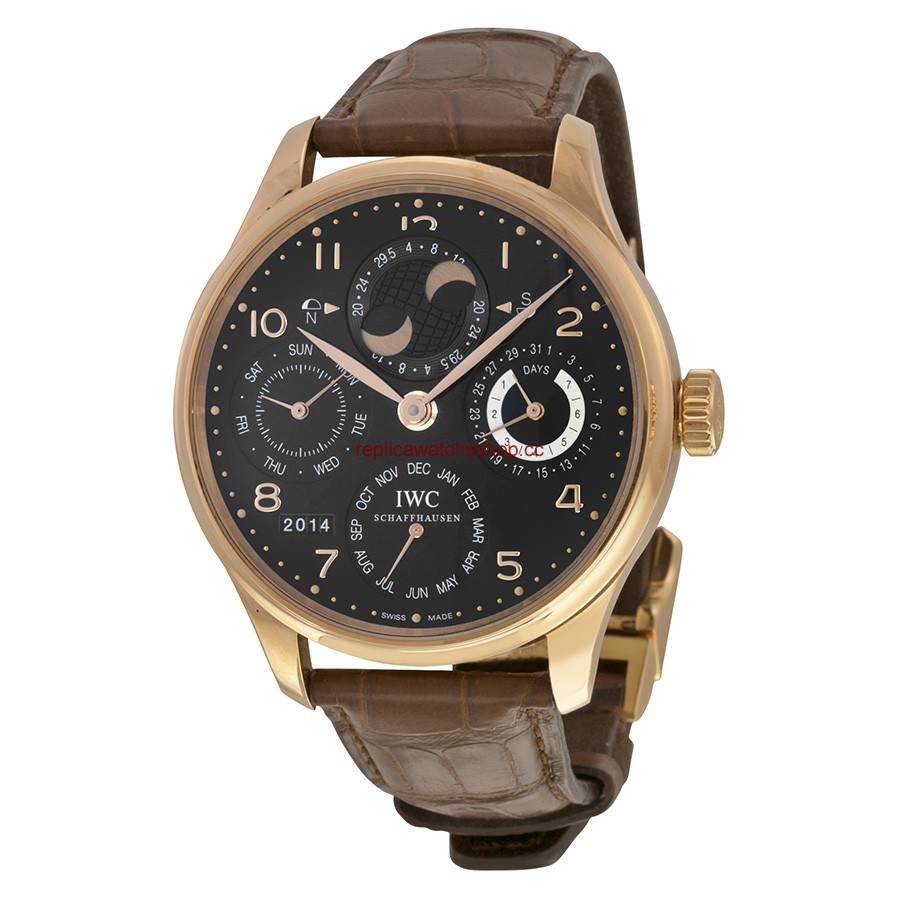 IWC Portuguese IW502122