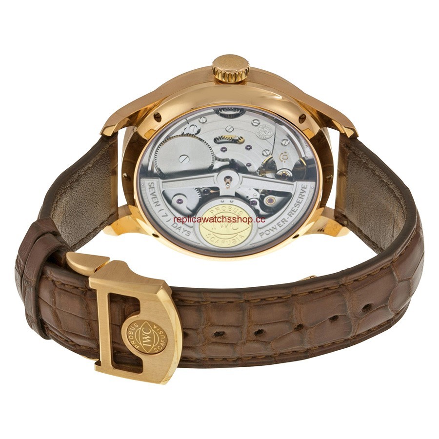 IWC Portuguese IW502122 img2
