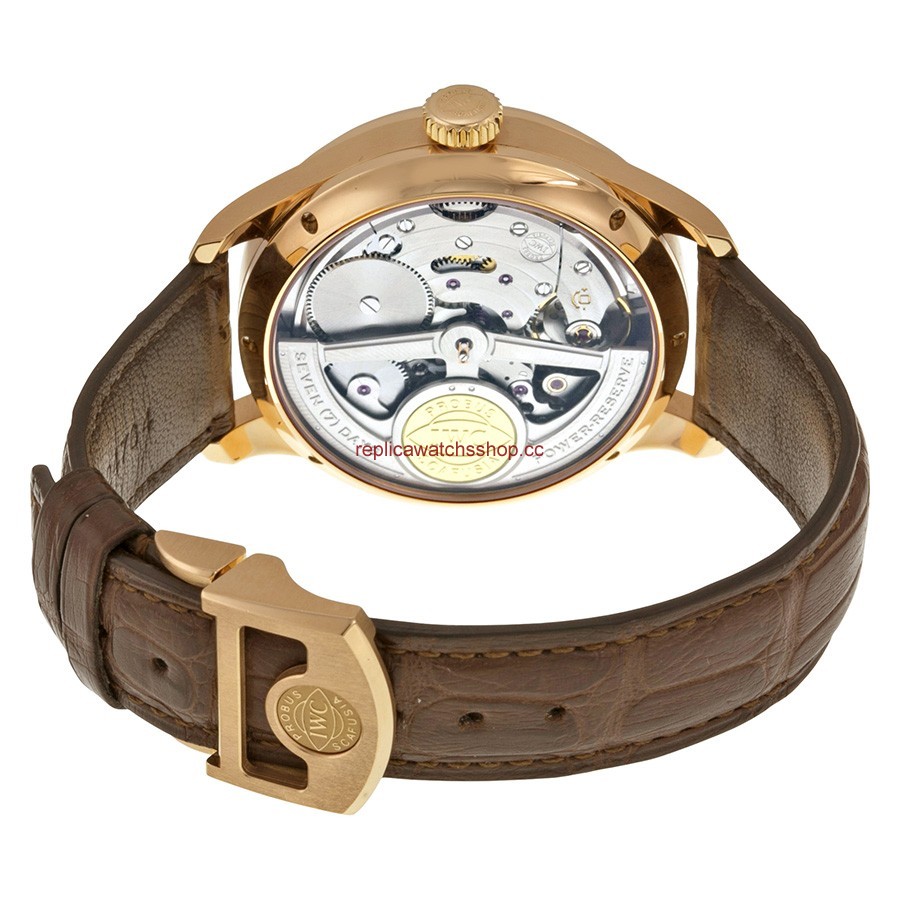 IWC Portuguese IW502302 img2