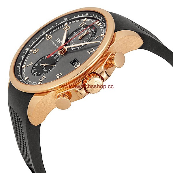 IWC Portuguese IW390209 img1