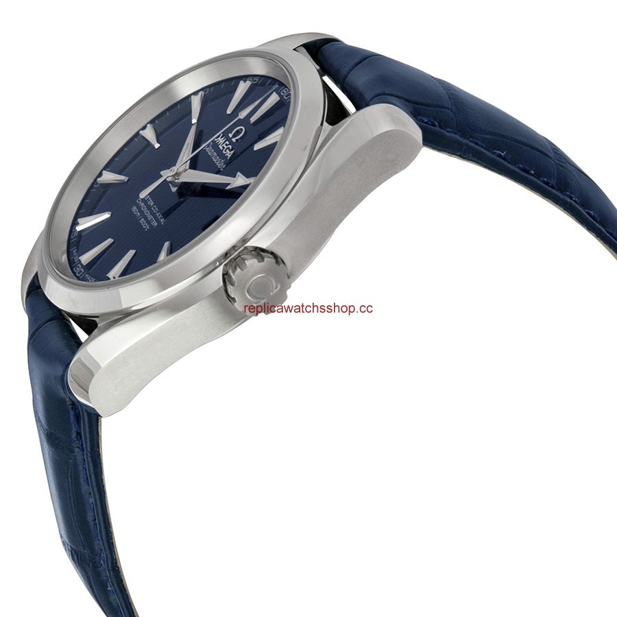 Omega Seamaster Aqua Terra 231.13.39.21.03.001 img1