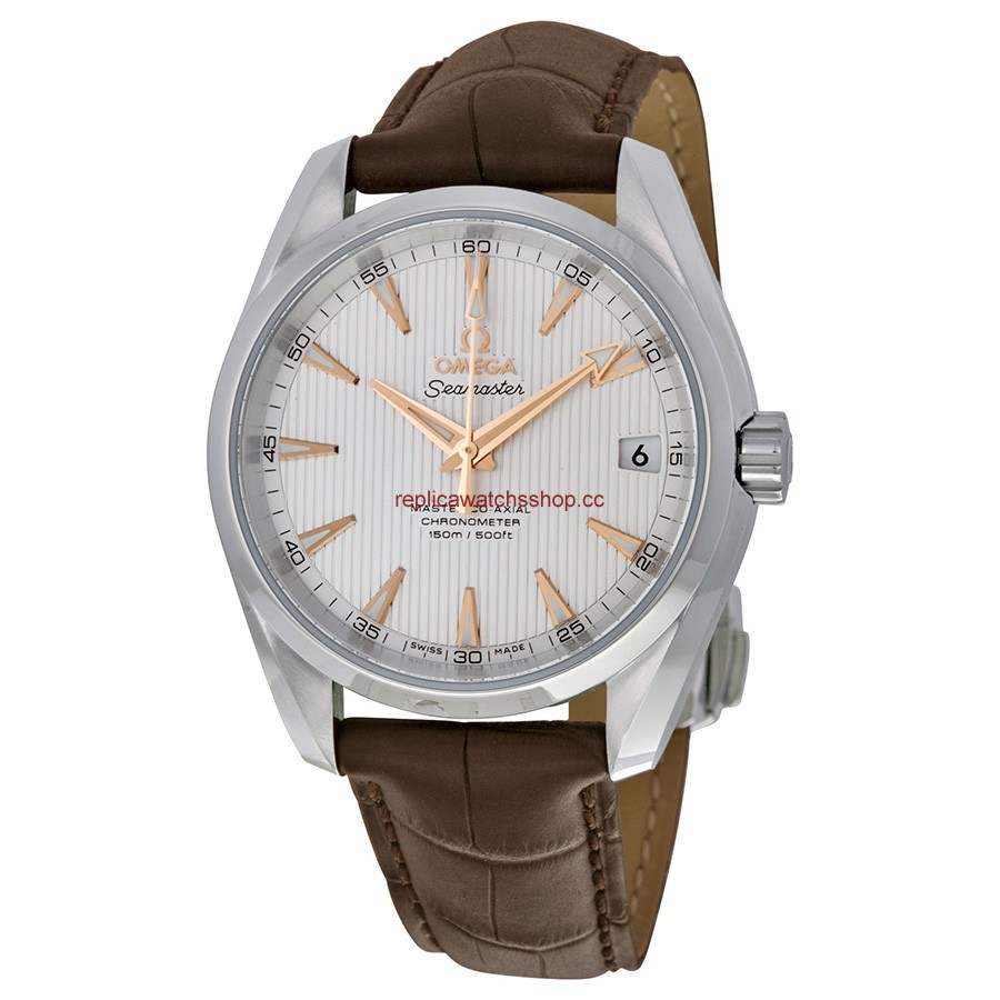 Omega Seamaster Aqua Terra 231.13.39.21.02.003 Omega Seamaster Aqua Terra 231.13.39.21.02.003
