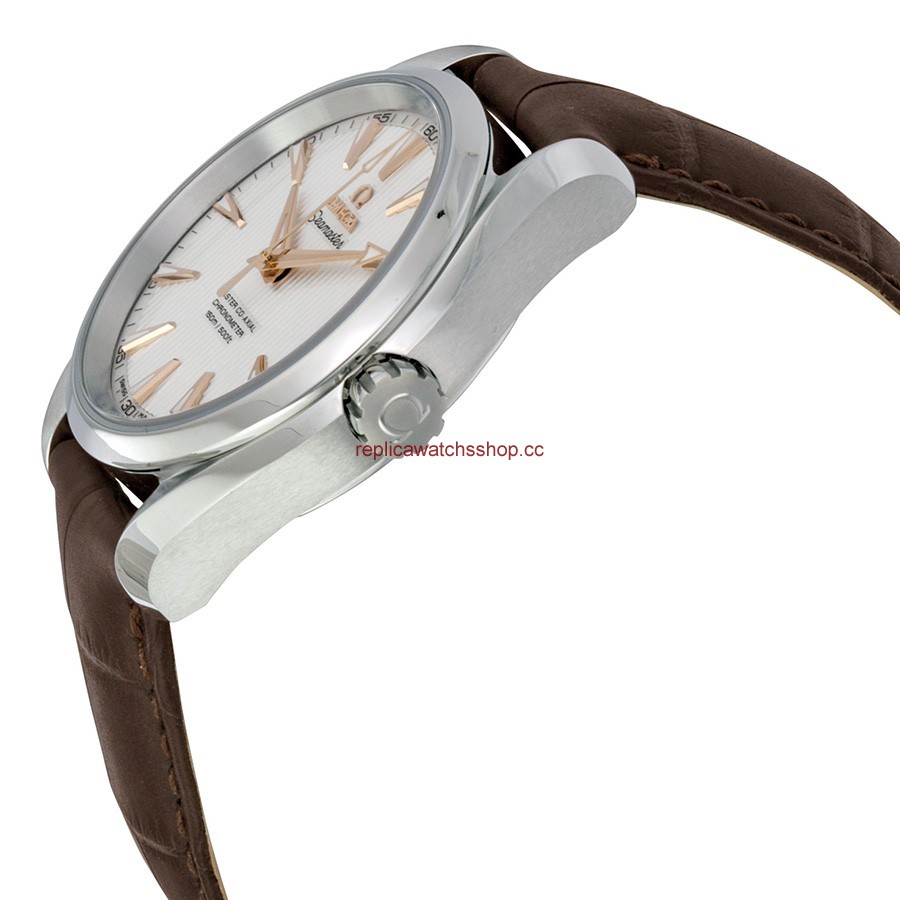 Omega Seamaster Aqua Terra 231.13.39.21.02.003 img1