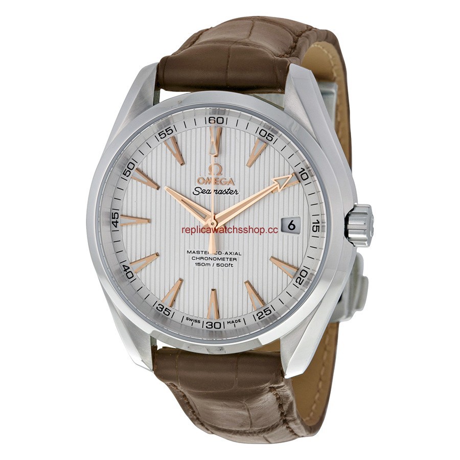 Omega Seamaster Aqua Terra 231.13.42.21.02.003 Omega Seamaster Aqua Terra 231.13.42.21.02.003