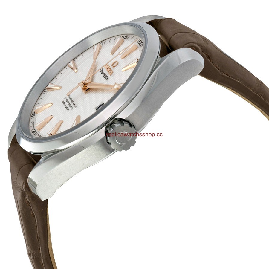 Omega Seamaster Aqua Terra 231.13.42.21.02.003 img1