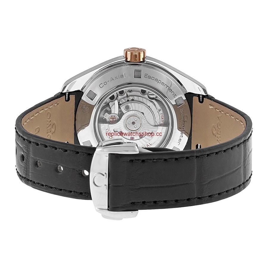 Omega Seamaster Aqua Terra 23123342001002 img2