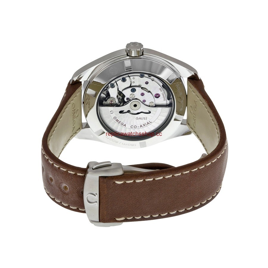 Omega Seamaster Aqua Terra 231.12.42.21.01.001 img2