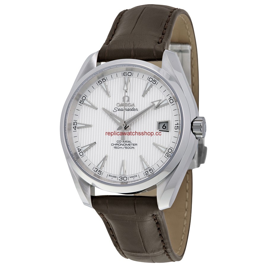 Omega Seamaster Aqua Terra 231.13.42.21.02.001 Omega Seamaster Aqua Terra 231.13.42.21.02.001