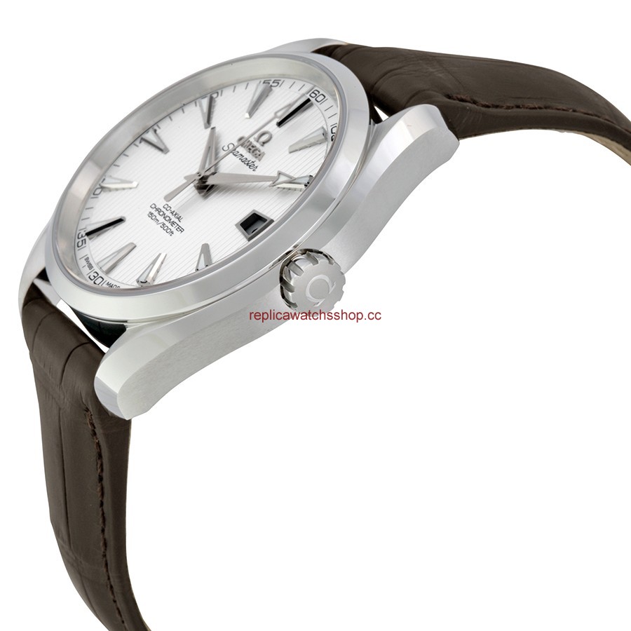Omega Seamaster Aqua Terra 231.13.42.21.02.001 img1