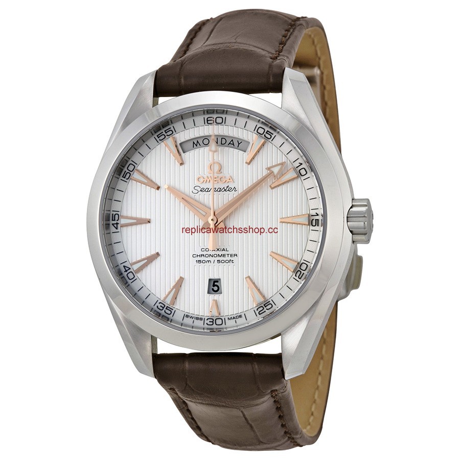 Omega Seamaster Aqua Terra 231.13.42.22.02.001 Omega Seamaster Aqua Terra 231.13.42.22.02.001