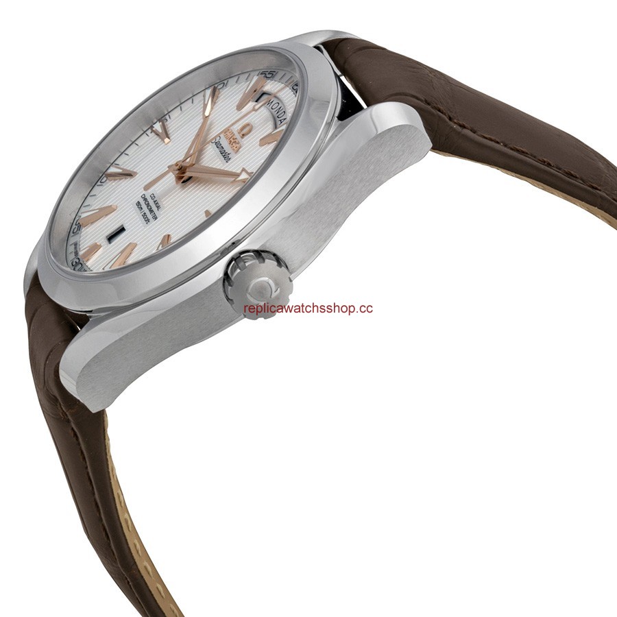 Omega Seamaster Aqua Terra 231.13.42.22.02.001 img1