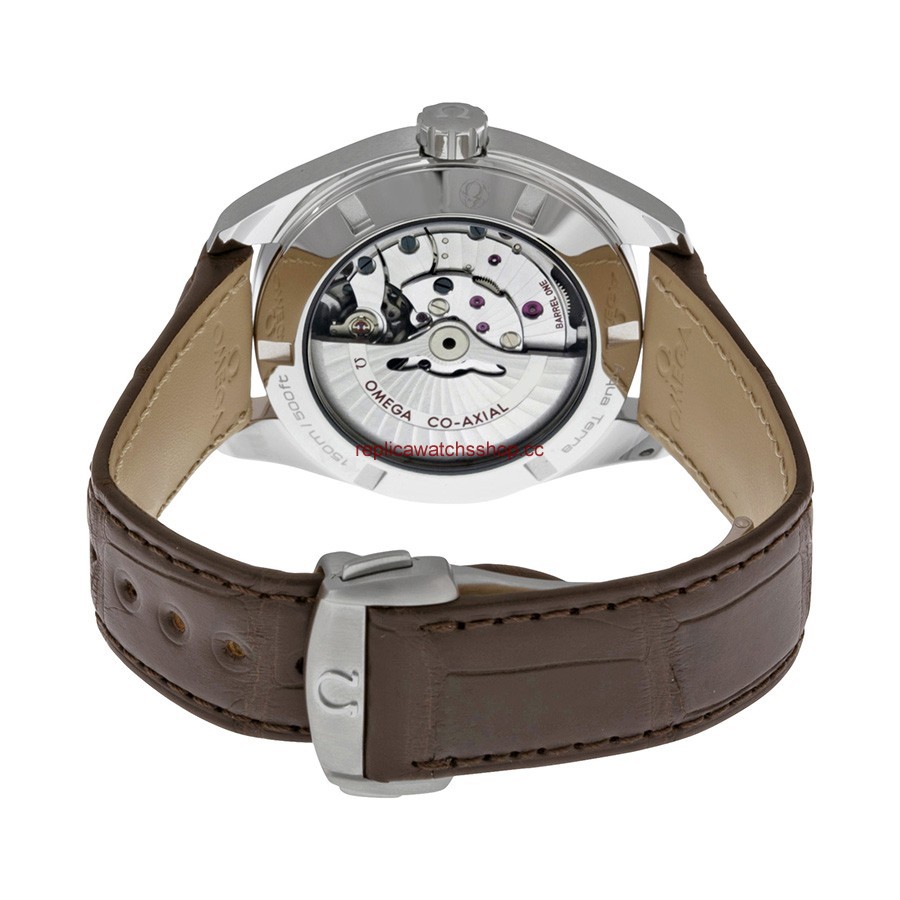 Omega Seamaster Aqua Terra 231.13.42.22.02.001 img2 Omega Seamaster Aqua Terra 231.13.42.22.02.001 img2