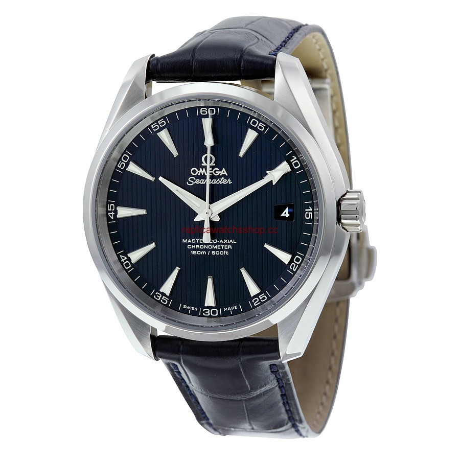 Omega Seamaster Aqua Terra 231.13.42.21.03.001 Omega Seamaster Aqua Terra 231.13.42.21.03.001