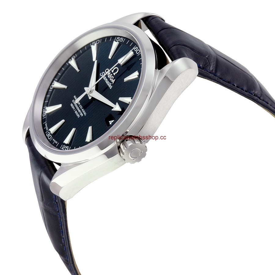 Omega Seamaster Aqua Terra 231.13.42.21.03.001 img1