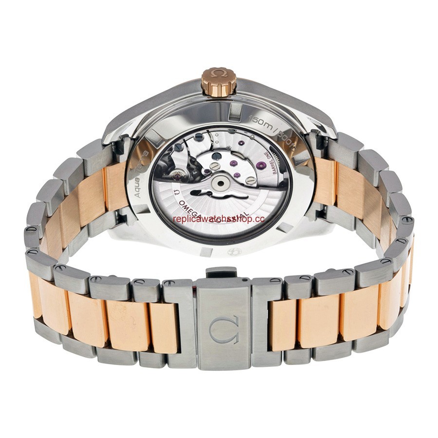 Omega Seamaster Aqua Terra 231.20.42.22.06.001 img2