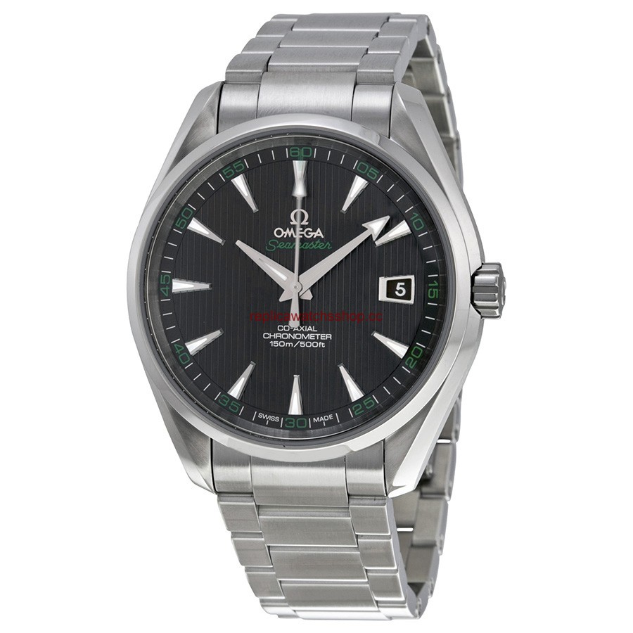 Omega Seamaster Aqua Terra 231.10.42.21.01.001