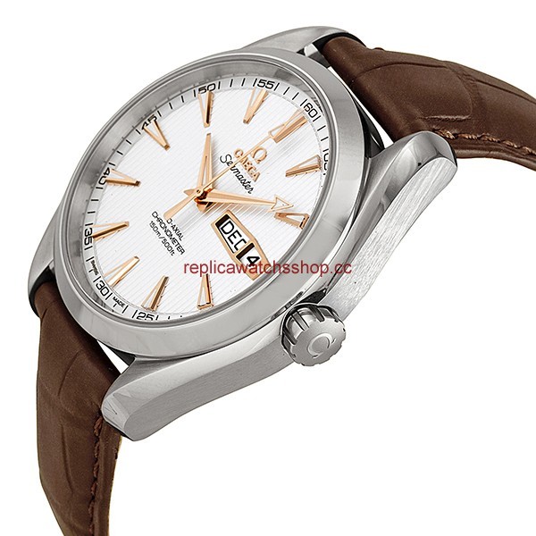 Omega Seamaster Aqua Terra 231.13.43.22.02.002 img1