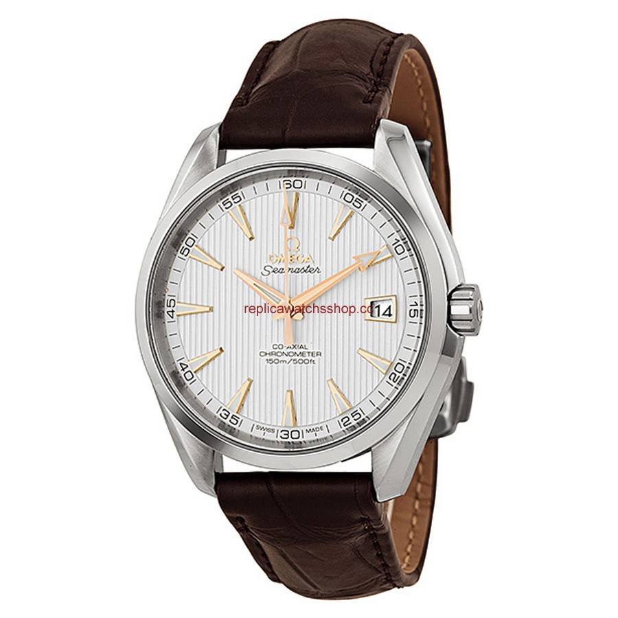 Omega Seamaster Aqua Terra 23113422102002 Omega Seamaster Aqua Terra 23113422102002